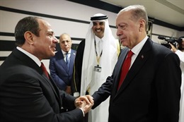 Tổng thống hai nước Ai Cập và Thổ Nhĩ Kỳ gặp nhau bên lề Lễ khai mạc World Cup 2022