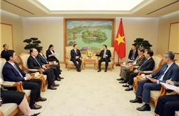 Phó Thủ tướng Trần Hồng Hà tiếp lãnh đạo Tập đoàn BYD và Tập đoàn Điện sinh khối Erex 