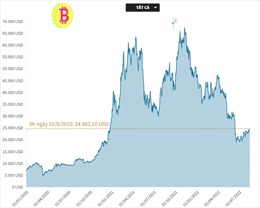 Giá tiền điện tử Bitcoin tiến gần tới mốc 25.000 USD