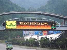 TP Hạ Long (Quảng Ninh) kiên quyết xử lý vi phạm tiếng ồn, ảnh hưởng đến cộng đồng