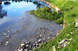 Khẩn trương khắc phục tình trạng ô nhiễm tại hồ Đội Có ở trung tâm Đà Lạt