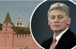 Điện Kremlin lần đầu lên tiếng về ‘Kế hoạch Chiến thắng’ của tổng thống Ukraine