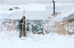 Lở tuyết tại Afghanistan, 2 người thiệt mạng