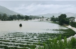 Gần 35.000 học sinh miền núi Hà Tĩnh tạm dừng đến trường do ảnh hưởng mưa lũ