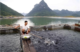 Tuyên Quang nỗ lực thực hiện công tác giảm nghèo bền vững