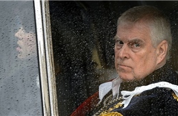 Cảnh sát Anh bắt giữ em trai Vua Charles với cáo buộc gửi tài liệu mật của chính phủ cho Epstein