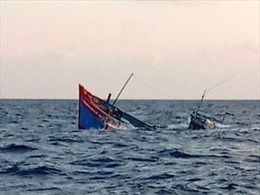 Tàu cá Bình Định cứu 2 ngư dân Quảng Nam trôi dạt trên biển