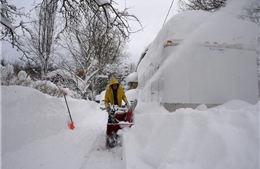 Mỹ: Băng tuyết phủ trắng nhiều bang, số người thiệt mạng tăng mạnh