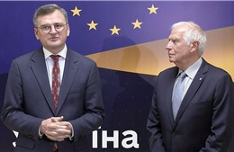 EU triệu tập &#39;cuộc họp lịch sử&#39; của các Ngoại trưởng tại Kiev, gửi thông điệp tới Nga