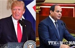 Tổng thống Mỹ và Ai Cập gửi điện chia buồn Chủ tịch nước Trần Đại Quang qua đời