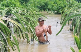 Bình Thuận: 200 hộ dân ở huyện Hàm Thuận Nam bị cô lập do mưa lũ