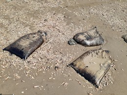 Hàng trăm bao tải nghi ngờ là dầu thô hoặc nhựa đường trôi dạt vào bờ biển Bến Tre