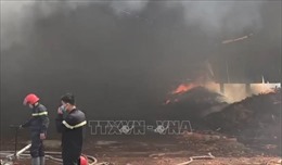 Bình Phước: Cháy tại khu chứa mùn cưa của công ty sản xuất, chế biến gỗ