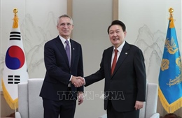 Hàn Quốc và NATO thảo luận tăng cường hợp tác an ninh khu vực