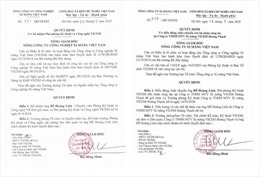 Vi phạm quy định về đấu thầu trong vụ án tại Công ty xi măng Vicem Hoàng Thạch