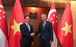 Bộ trưởng Ngoại giao Bùi Thanh Sơn thăm chính thức Singapore