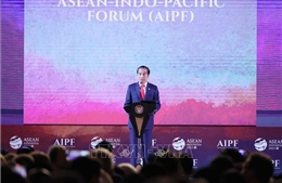 Hội nghị Cấp cao ASEAN lần thứ 43: Diễn đàn AIPF biến cạnh tranh thành hợp tác