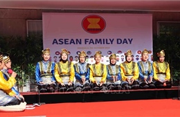 Nhiều hoạt động thú vị nhân Ngày gia đình ASEAN tại Bỉ