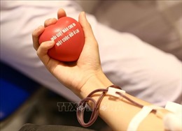 Nhiều gia đình tham gia hiến máu tại Lễ hội Xuân hồng 2024