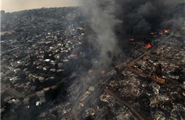 Cháy rừng ở Chile, ít nhất 46 người thiệt mạng