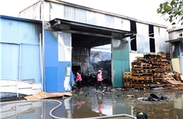 Hải Dương: Kịp thời dập tắt cháy lớn tại Công ty Trách nhiệm hữu hạn Hoàng Lê