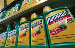 Mỹ xét xử vụ kiện Monsanto sử dụng chất gây ung thư sản xuất thuốc diệt cỏ