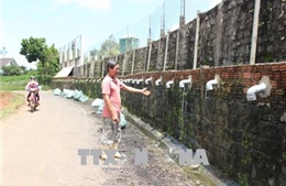 Cần giải quyết dứt điểm tình trạng nhiễm môi trường nông thôn tại Di Linh, Lâm Đồng