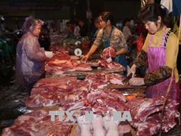 Giá thịt lợn tăng mạnh, tới 25.000 đồng/kg