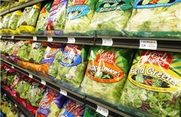 Mỹ khuyến cáo các sản phẩm salads, gỏi cuốn nhiễm ký sinh trùng đường ruột