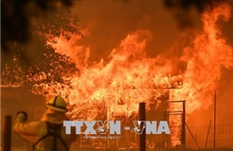 Huy động ngân quỹ liên bang, đối phó thảm họa cháy rừng tại California, Mỹ