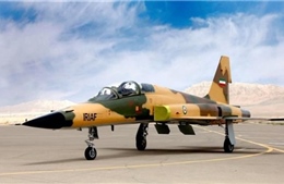 Iran &#39;trình làng&#39; mẫu máy bay chiến đấu thế hệ mới 100% nội địa