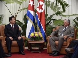 Cuba và Triều Tiên thúc đẩy quan hệ song phương