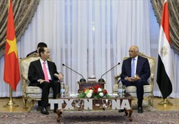 Chủ tịch nước Trần Đại Quang hội kiến Chủ tịch Quốc hội Ai Cập