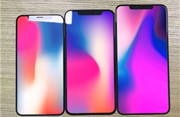 Apple có thể ra mẫu iPhone có màn hình lớn nhất từ trước tới nay