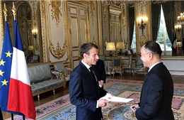 Tổng thống Pháp đánh giá cao vai trò của Việt Nam trong khu vực và thế giới