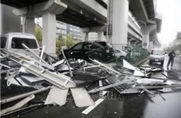 Nhật Bản khẩn trương khắc phục hậu quả siêu bão Jebi