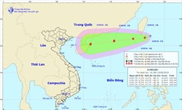 Chủ động ứng phó với áp thấp nhiệt đới có khả năng đi vào biển Đông