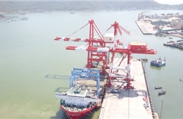 Kiến nghị thu hồi lại cảng Quy Nhơn - Bài 3: Chưa thỏa thuận được việc thu hồi cổ phần chi phối