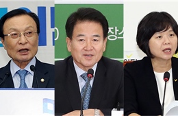 Lãnh đạo các đảng tháp tùng Tổng thống Hàn Quốc gặp nhà lãnh đạo Triều Tiên
