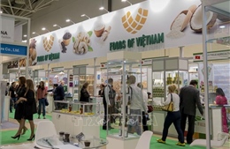 Nhiều doanh nghiệp Việt tham gia Hội chợ Lương thực quốc tế Moskva lần thứ 27