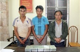 Bắt quả tang 3 đối tượng vận chuyển 10 bánh heroin 