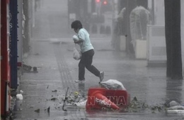 Sức gió mạnh kỷ lục, bão Trami &#39;càn quét&#39;, gây thiệt hại lớn ở Tokyo, Nhật Bản 