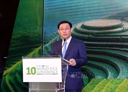 Việt Nam tham gia phát triển công nghệ bền vững trong nông nghiệp, khẳng định thương hiệu gạo