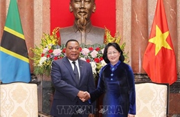 Đẩy mạnh hợp tác thương mại - đầu tư giữa Việt Nam và Tanzania