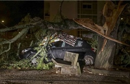 Hàng trăm nghìn người ở Bồ Đào Nha rơi vào cảnh mất điện do bão Leslie
