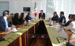 Mexico coi trọng phát triển quan hệ mọi mặt với Việt Nam