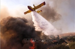 Mỹ: Thành phố San Francisco chìm trong khói độc do cháy rừng tại bang California
