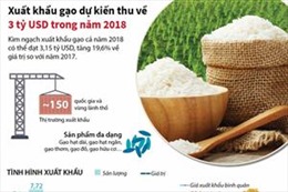 Xuất khẩu gạo dự kiến thu về 3 tỷ USD trong năm 2018