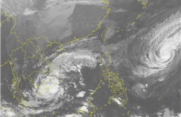Đêm 24/11 và ngày 25/11, bão số 9 gây mưa to đến rất to ở các tỉnh từ Thừa Thiên Huế - Bình Thuận, Nam Tây Nguyên và Nam Bộ