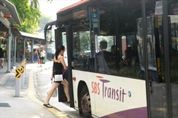 Singapore thử nghiệm dịch vụ xe buýt theo yêu cầu  